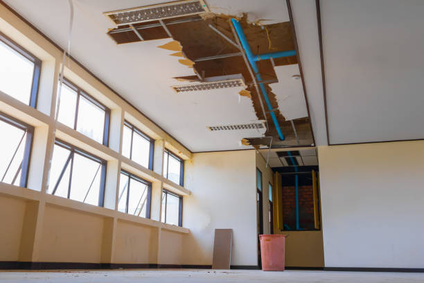 Best Carpet water damage restoration  in Lambertville, MI