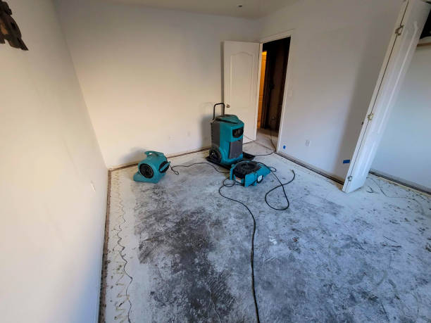 Local water damage restoration in Lambertville, MI