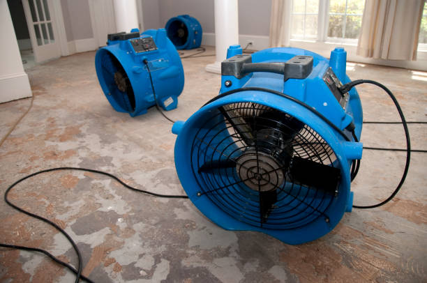 Best Flood damage cleanup  in Lambertville, MI