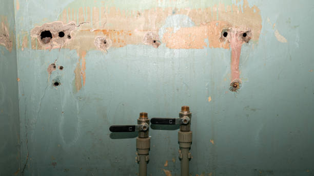 Best Sewage cleanup and water damage restoration  in Lambertville, MI